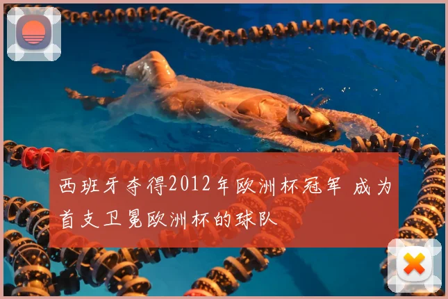 西班牙夺得2012年欧洲杯冠军 成为首支卫冕欧洲杯的球队