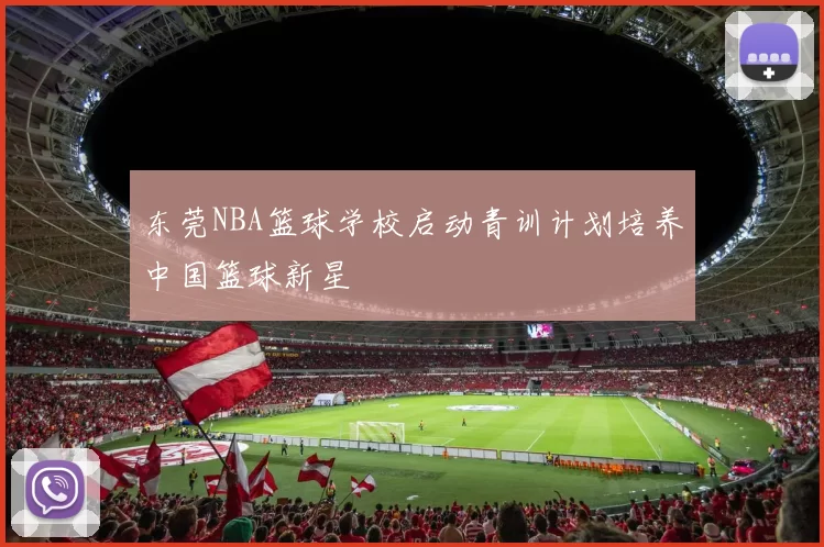 东莞NBA篮球学校启动青训计划培养中国篮球新星